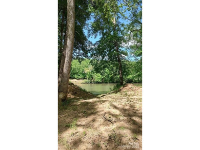 Welcome to Broad River Highlands in Mooresboro! This large lot - photo 30