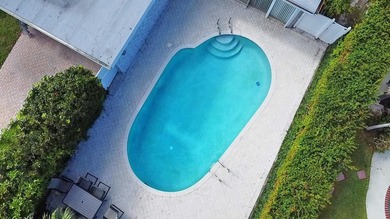 Welcome to paradise. East Hollywood's most desirable zip code - photo 45