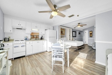 This bright and charming 623 sq. ft. studio condo has been - photo 6