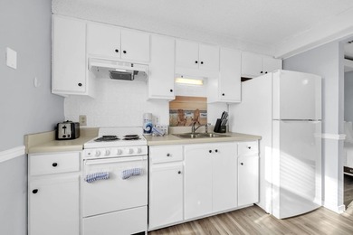 This bright and charming 623 sq. ft. studio condo has been - photo 9