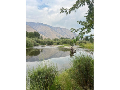Check out this scenic Riverfront Turnkey RV Park - 17.8 Acres on - photo 34