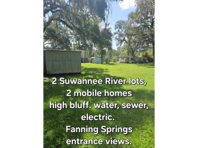 Lake Home For Sale in Old Town, Florida