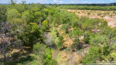 (private lake, pond, creek) Acreage For Sale in Floresville Texas