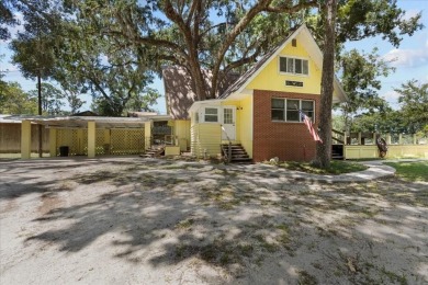 Lake Home For Sale in Old Town, Florida