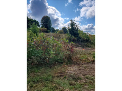 Chippewa River Lot Active Under Contract in Chippewa Falls Wisconsin