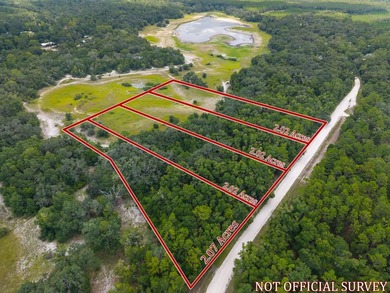 Suwannee River Acreage For Sale in Old Town Florida