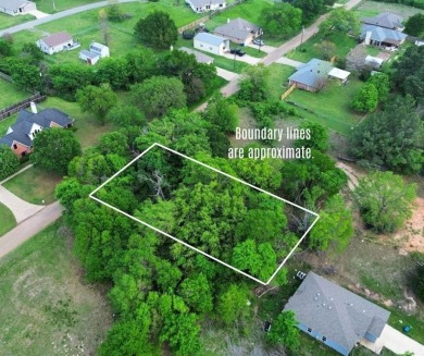 Lake Lot For Sale in Gun Barrel City, Texas