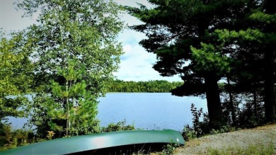 Lake Acreage For Sale in Medway, Maine