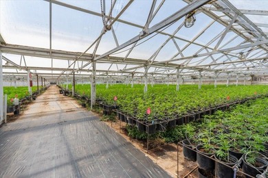 Riverview Farms is a 22.3-acre, two-parcel cannabis cultivation - photo 11