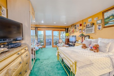 DOCK YOUR DREAMS ON ANN DRIVE EAST....A RELAXING LIFE TO SAY THE - photo 11