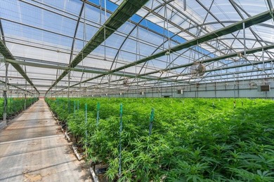 Riverview Farms is a 22.3-acre, two-parcel cannabis cultivation - photo 13