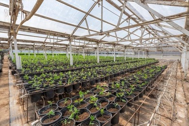 Riverview Farms is a 22.3-acre, two-parcel cannabis cultivation - photo 15