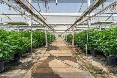 Riverview Farms is a 22.3-acre, two-parcel cannabis cultivation - photo 18