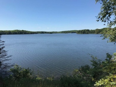 TWIN ISLAND LAKE Parcel - Lake Acreage For Sale in Presque Isle, Wisconsin