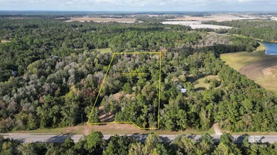 NEWLY PRICED! Beautiful residential acreage with mature oaks - photo 4