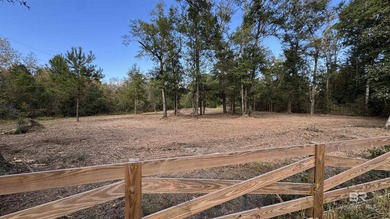 NEWLY PRICED! Beautiful residential acreage with mature oaks - photo 7