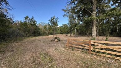 NEWLY PRICED! Beautiful residential acreage with mature oaks - photo 8