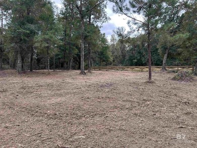 NEWLY PRICED! Beautiful residential acreage with mature oaks - photo 10