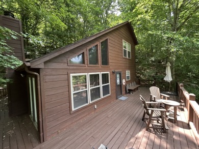 Waterfront cabin in the woods, gazebo, fire pit & dock! - photo 3