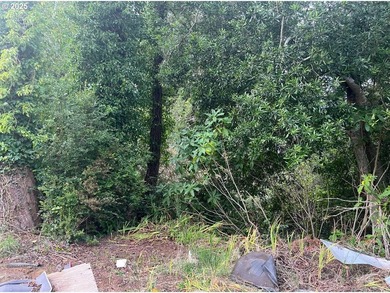 Quarter acre Lot in the heart of Empire! Great chance to begin - photo 2