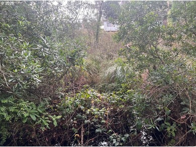 Quarter acre Lot in the heart of Empire! Great chance to begin - photo 3