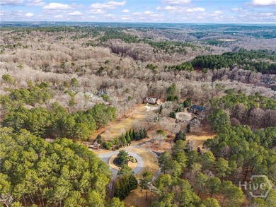5 ACRE, RIVERFRONT OCONEE COUNTY ESTATE. Welcome to Bishop - photo 47