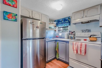 Located in Flood Zone X on a high and dry 0.13-acre lot, this - photo 10