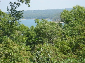  Lot with 2 acres frontage on government strip - Lake Acreage For Sale in Clarkridge, Arkansas