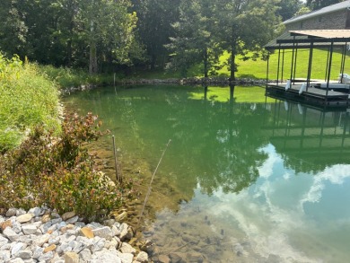 Waterfront lot at Lake Nehai - photo 4