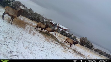 Welcome to the Western A Ranch, a remarkable luxury 557-acre - photo 11