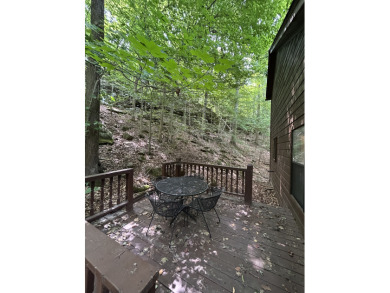 Waterfront cabin in the woods, gazebo, fire pit & dock! - photo 20