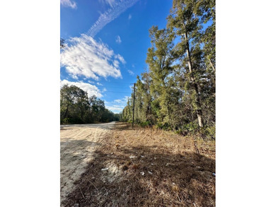 Suwannee River Acreage For Sale in Old Town Florida