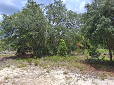 Bonable Lake Lot For Sale in Dunnellon Florida