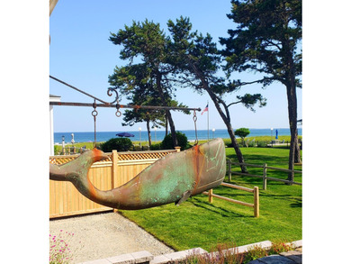 So many property descriptions begin by typifying homes as - photo 16