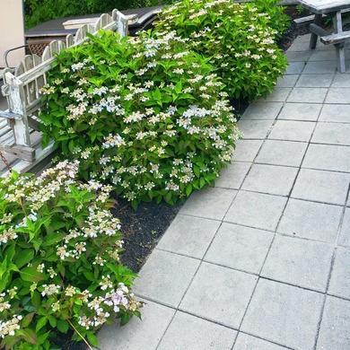 So many property descriptions begin by typifying homes as - photo 24