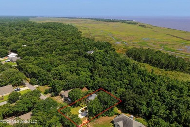 NEW CONSTRUCTION on Shaded Lot just moments from the Water! This - photo 40