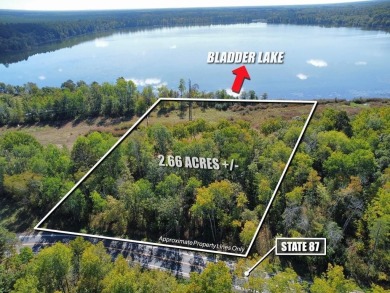 Lake Acreage For Sale in Nevis, Minnesota