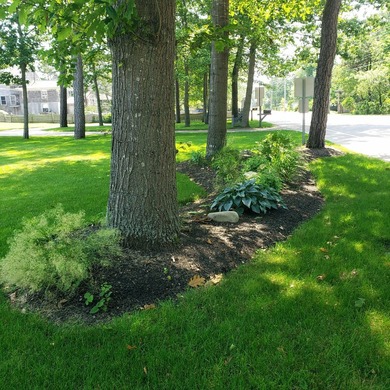 So many property descriptions begin by typifying homes as - photo 42