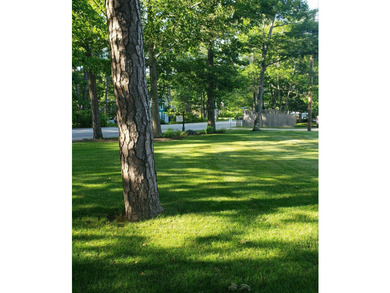 So many property descriptions begin by typifying homes as - photo 44