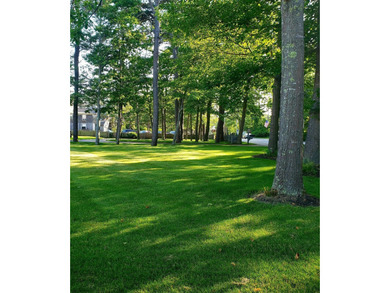 So many property descriptions begin by typifying homes as - photo 46