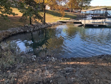Waterfront lot at Lake Nehai - photo 8