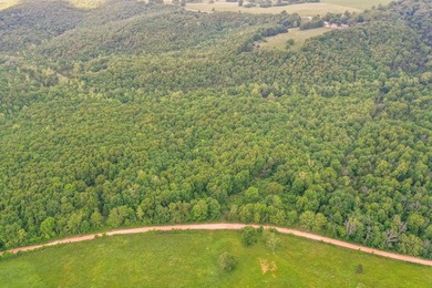 (private lake, pond, creek) Acreage For Sale in Drury Missouri