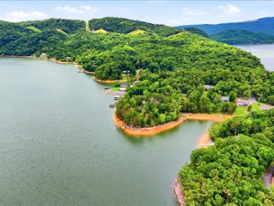 Spectacular Cherokee Lakefront Lot - photo 18