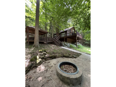 Waterfront cabin in the woods, gazebo, fire pit & dock! - photo 26