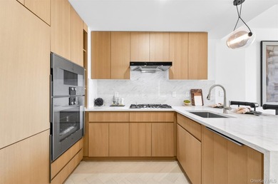 LaVita, A landmark luxury residence in the heart of Flushing - photo 3