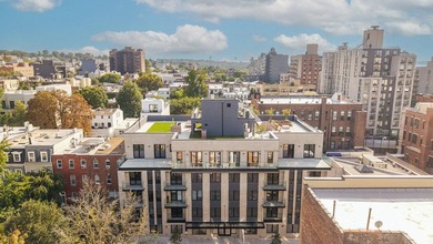 Light, warmth, and design intention converge in this Park Slope - photo 20