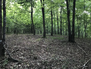 Freedom Lake  Acreage Sale Pending in Dunlap Tennessee