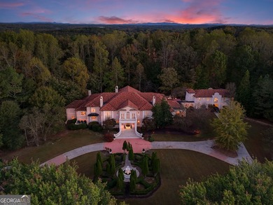 Tucked behind a gated entry on 4.47 acres in Tullamore - - photo 1