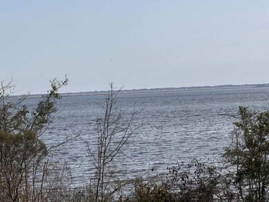 Tucked away on Choctawhatchee Bay, this charming Florida cottage - photo 2