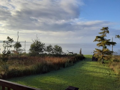 Tucked away on Choctawhatchee Bay, this charming Florida cottage - photo 5